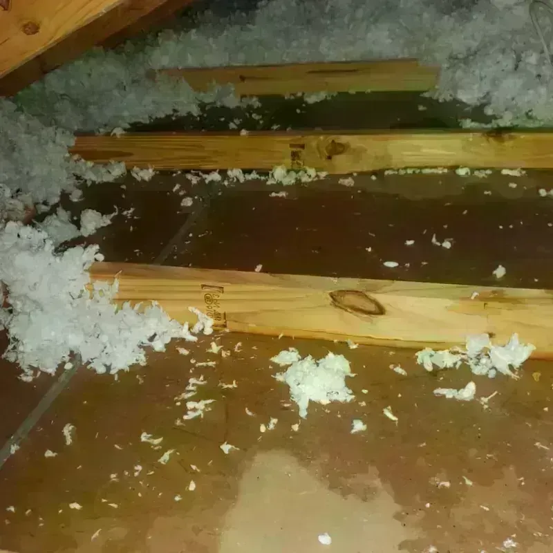 Attic Water Damage in Crawford County, GA